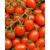 1016/FW-K12 - Patia Red - Roma Tomate (veredelt)