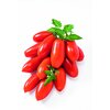 1017/FW-K12 - Tuma Red - San Marzano Tomate (veredelt)