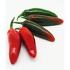 1440/FW-K10 - Japo - Jalapeno Chili